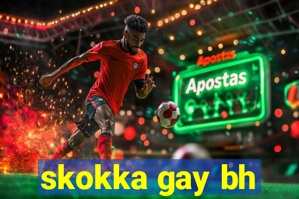 skokka gay bh